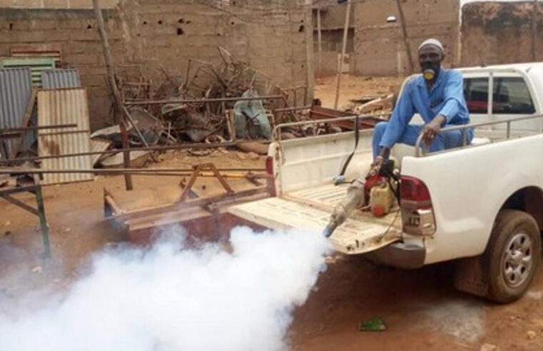 Dengue au Mali : épidémie en cours et mesures de prévention