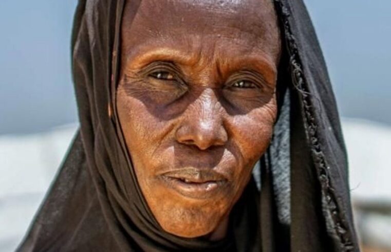 Exposition photo sur la crise au Mali : sept ong mobilisent à bruxelles