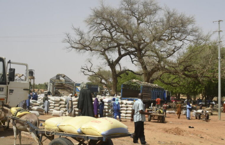 Afflux de déplacés au Niger : la commune de Téra en crise humanitaire