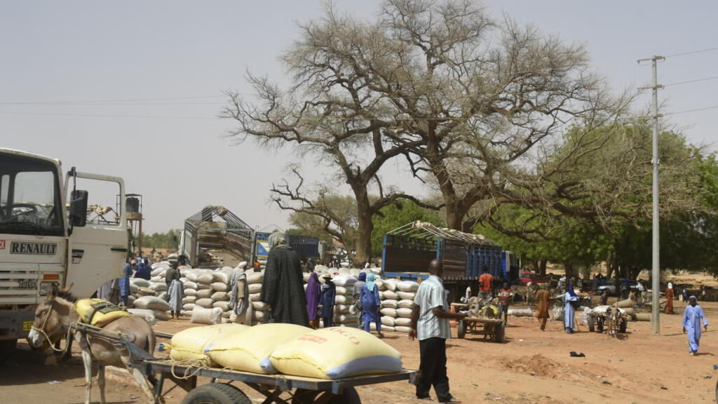 Afflux de déplacés au Niger : la commune de Téra en crise humanitaire
