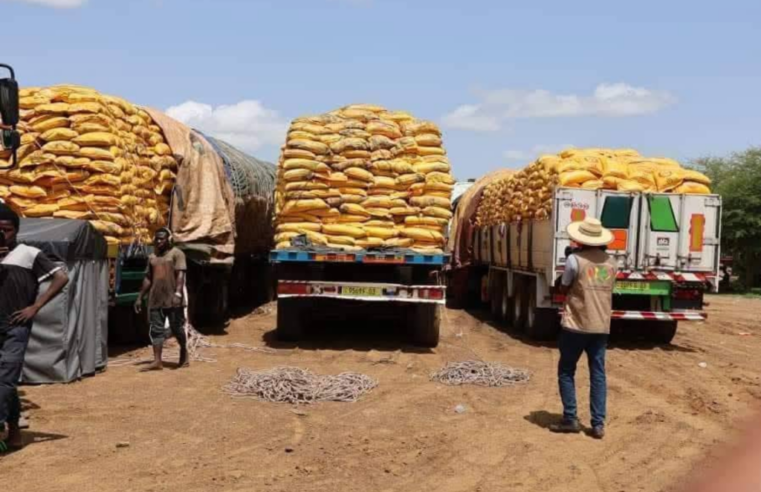 Burkina faso : la junte traoré dépendante des aides alimentaires malgré ses promesses