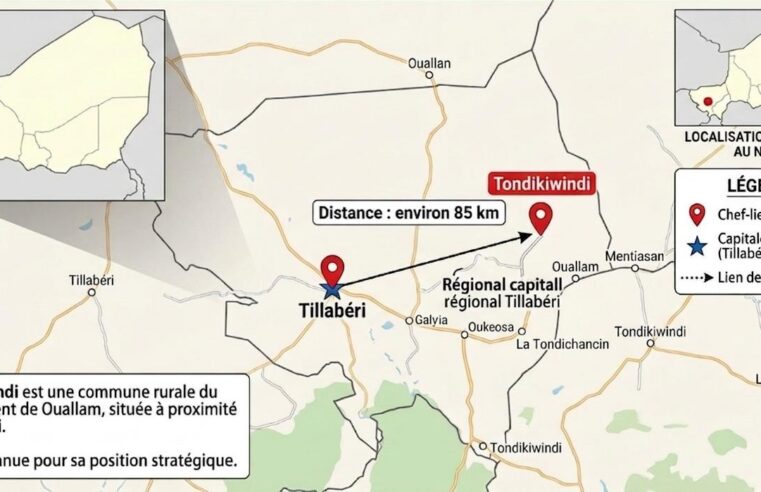 Quand la technologie aveugle : drame à Tondikiwindi, Niger