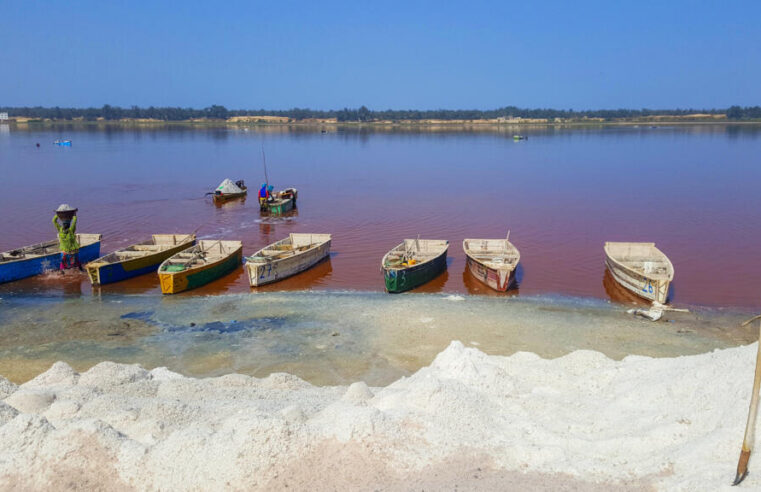 Manifestation contre la ville verte au lac rose à Dakar