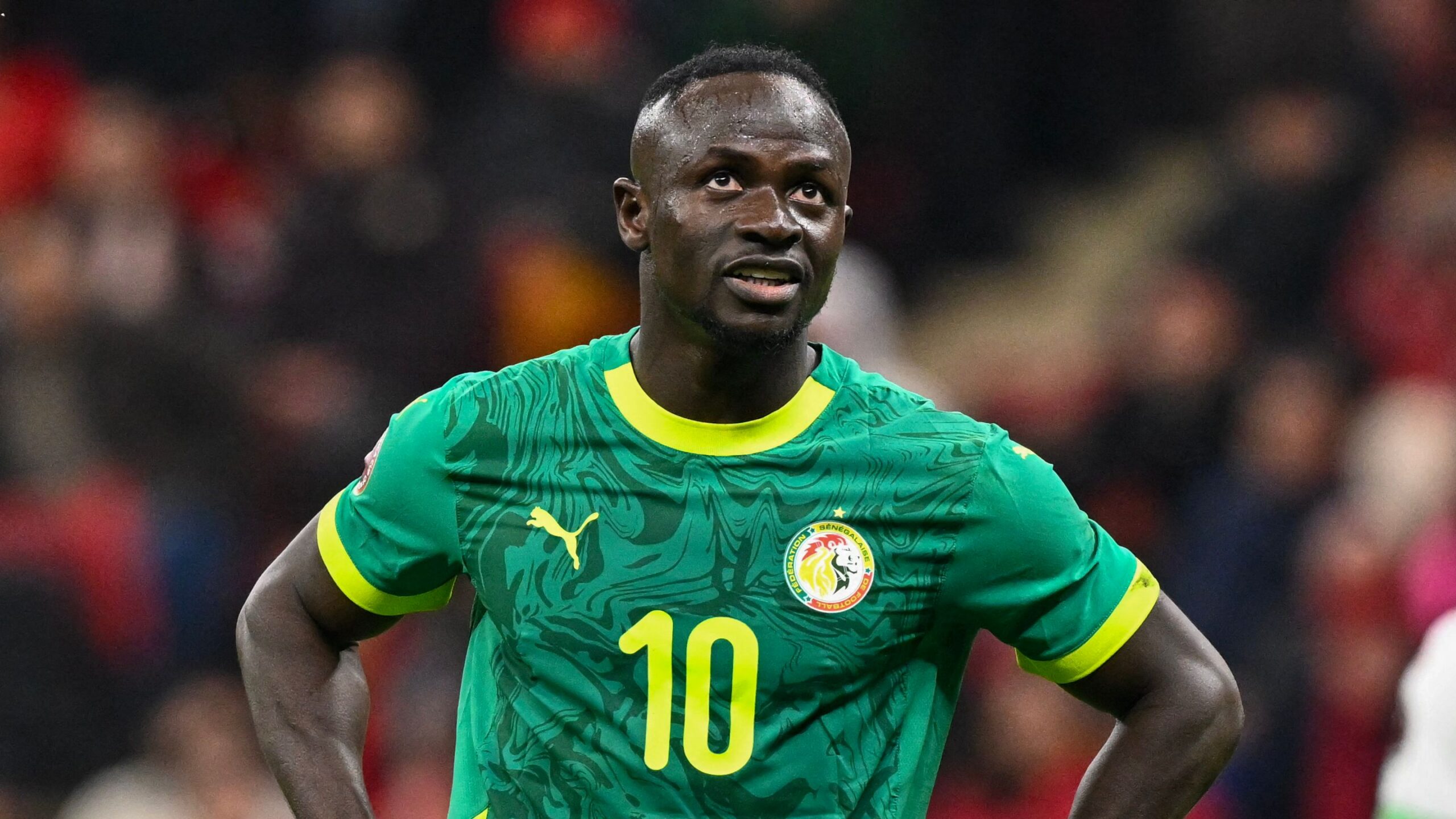 Can Maroc 2025 : le Maroc sacré champion après l&rsquo;annulation de la finale face au Sénégal