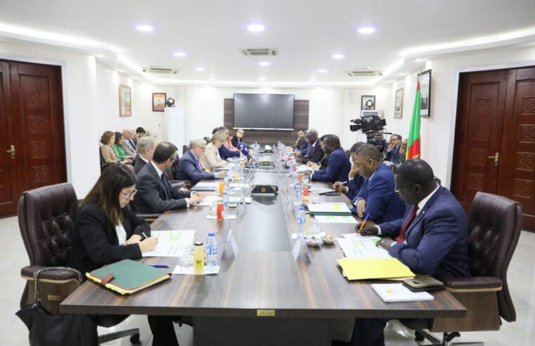 La Mauritanie et l&rsquo;Union européenne : un partenariat stratégique pour l&rsquo;avenir