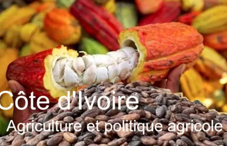 Côte d&rsquo;Ivoire : l&rsquo;agriculture, pilier économique et défi social