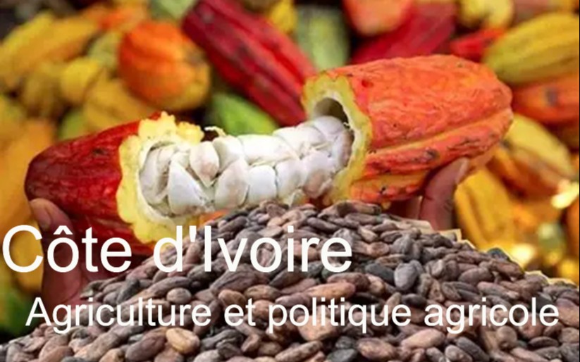 Côte d&rsquo;Ivoire : l&rsquo;agriculture, pilier économique et défi social