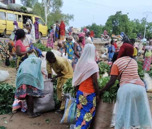 N’djamena : quand la pauvreté défie les politiques de lutte contre le désordre urbain