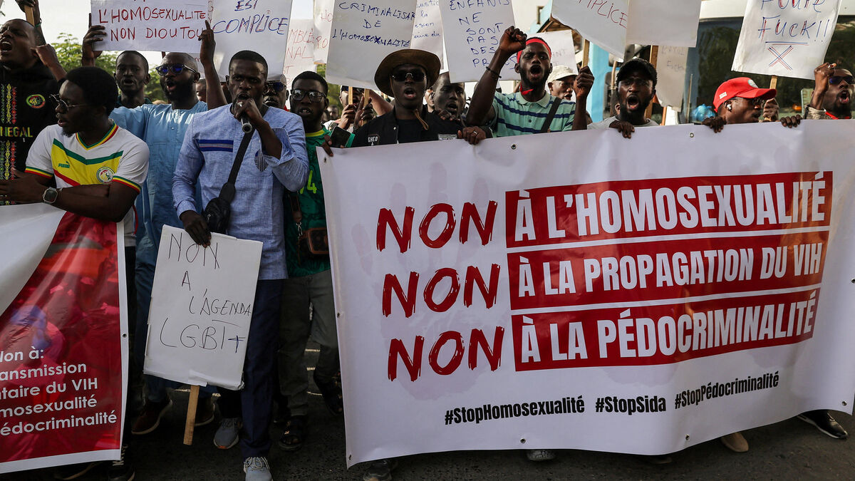 Français détenu au Sénégal : homophobie et loi anti-lgbt+ sous le feu des projecteurs