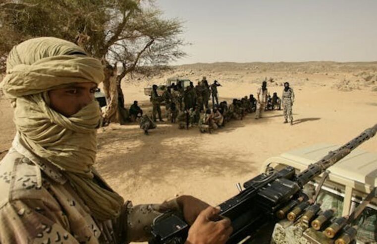 Crise au Mali : les revendications touarègues, solution pour la paix durable