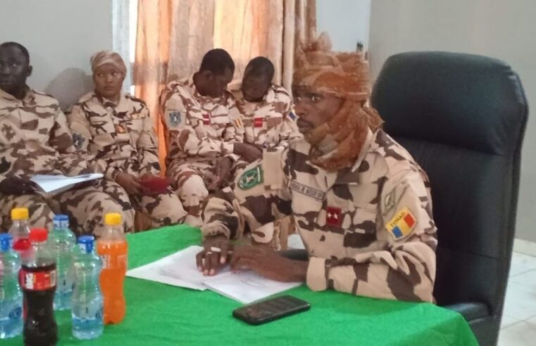 Renforcement des forces Tchad-Centrafrique à la frontière : sécurité et coopération renforcées