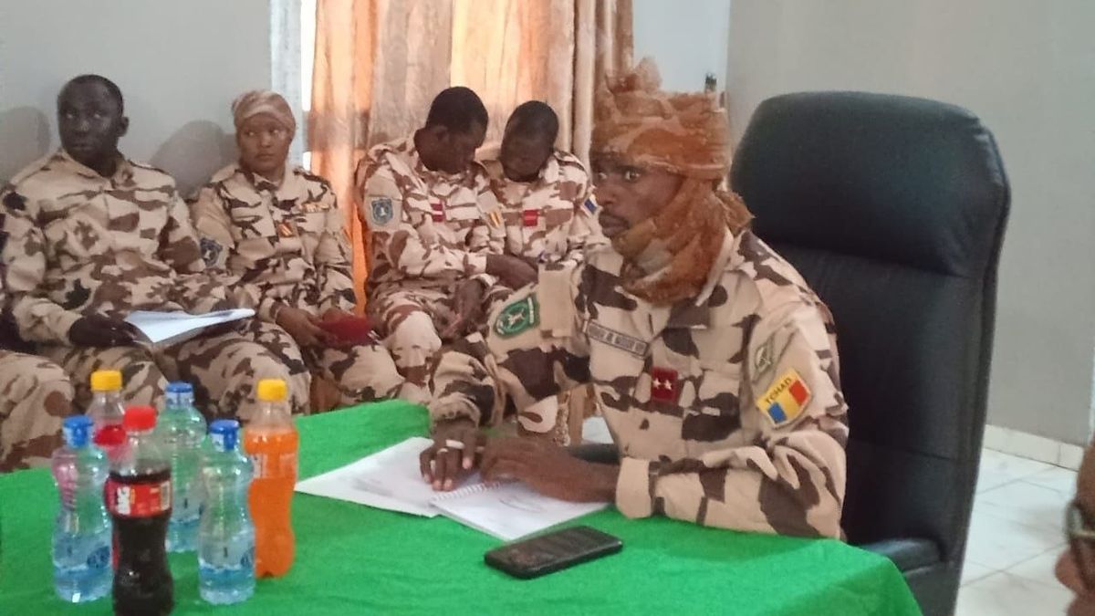 Renforcement des forces Tchad-Centrafrique à la frontière : sécurité et coopération renforcées