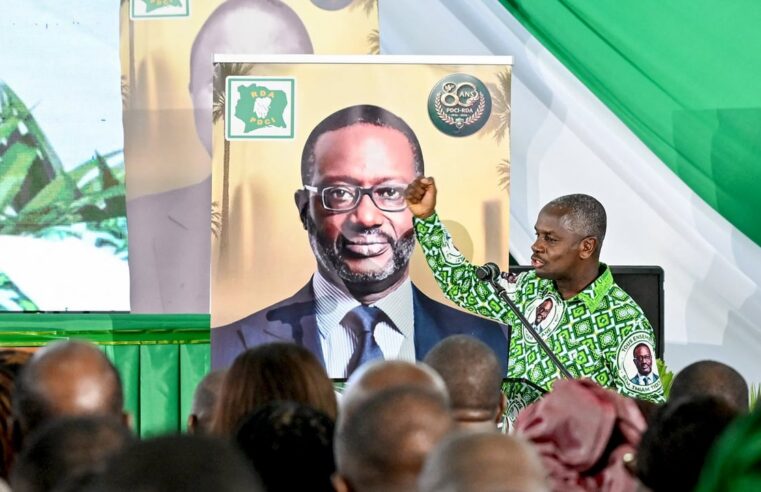 Côte d’ivoire : la stratégie du rhdp qui fragilise le pdci de tidjane thiam