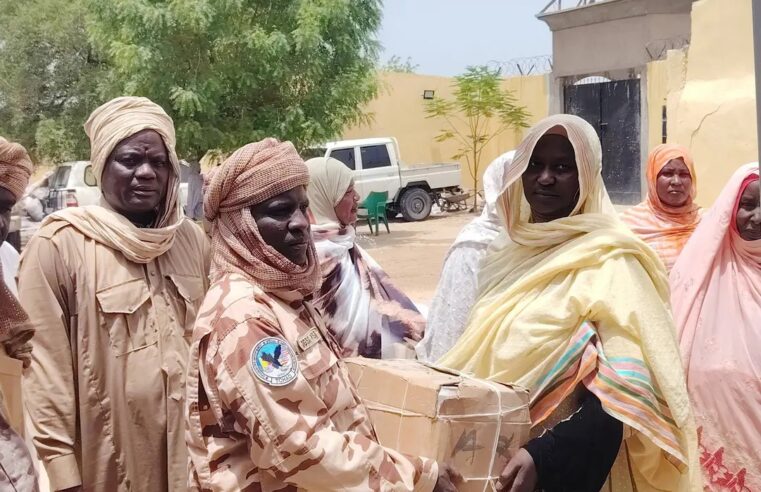 Solidarité féminine face aux menaces de boko haram dans la province du lac