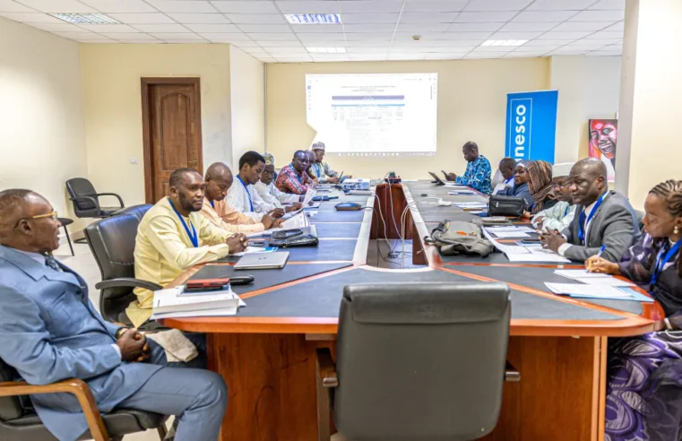 Coopération éducative : le Tchad s&rsquo;inspire du numérique camerounais pour moderniser son école