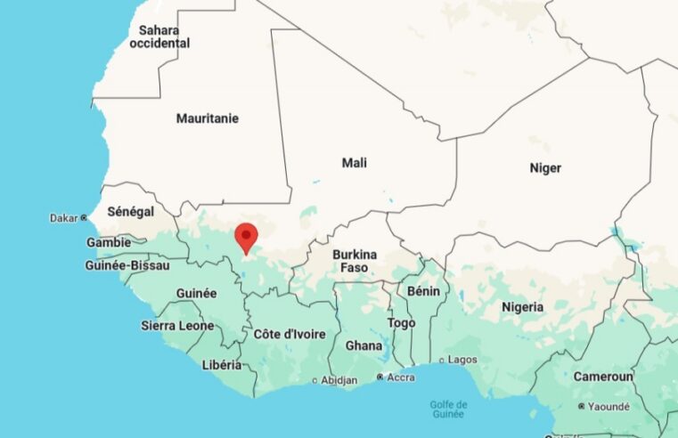 Mobilisation citoyenne à Bamako pour la survie du multipartisme au Mali