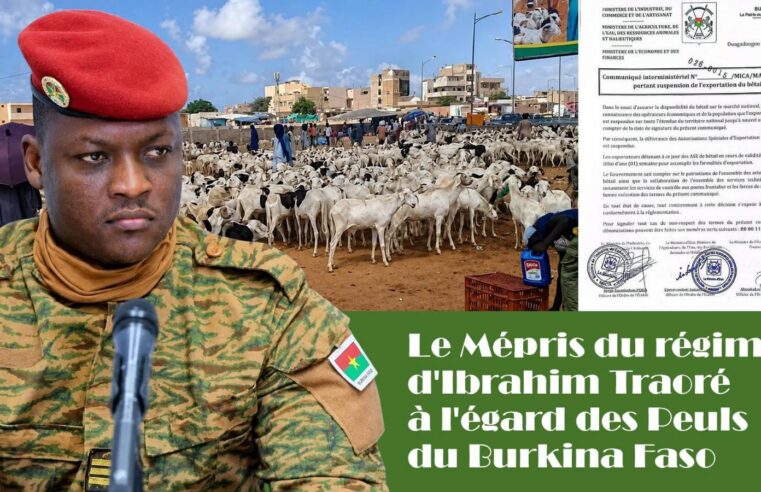 Burkina Faso : la communauté peule étranglée entre répression et asphyxie économique
