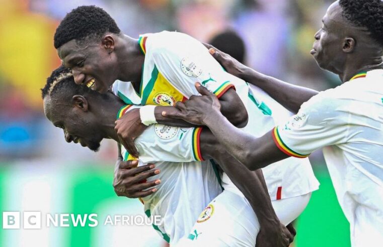 Académies de football au Sénégal : la fabrique des futurs lions de la teranga