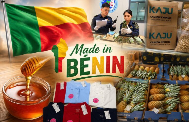 Bénin : l&rsquo;exportation agricole qui séduit les marchés mondiaux