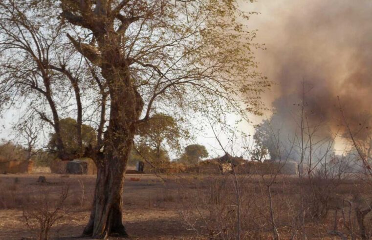 Sambisa : la guerre sans fin entre factions terroristes pour ce territoire clé
