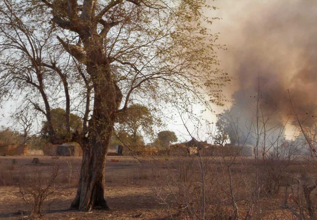 Sambisa : la guerre sans fin entre factions terroristes pour ce territoire clé