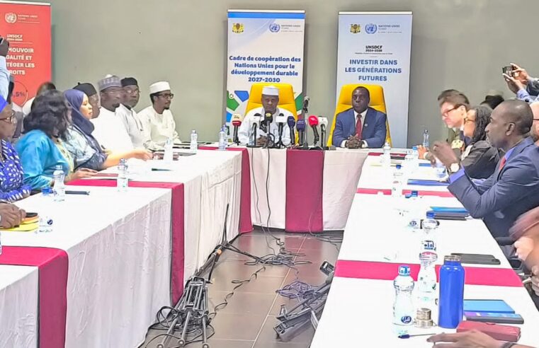 Tchad : le comité de pilotage onusien clôt le cycle 2024-2026 et prépare 2027-2030