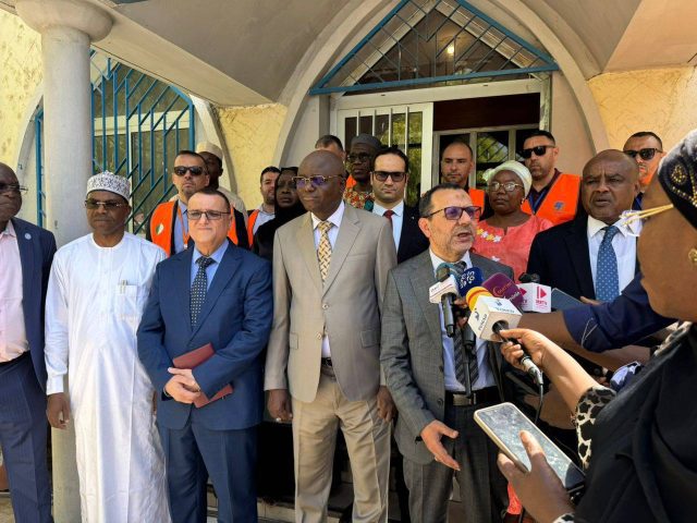 Sonelgaz lance une centrale électrique de 40 mw au Tchad pour booster l&rsquo;énergie