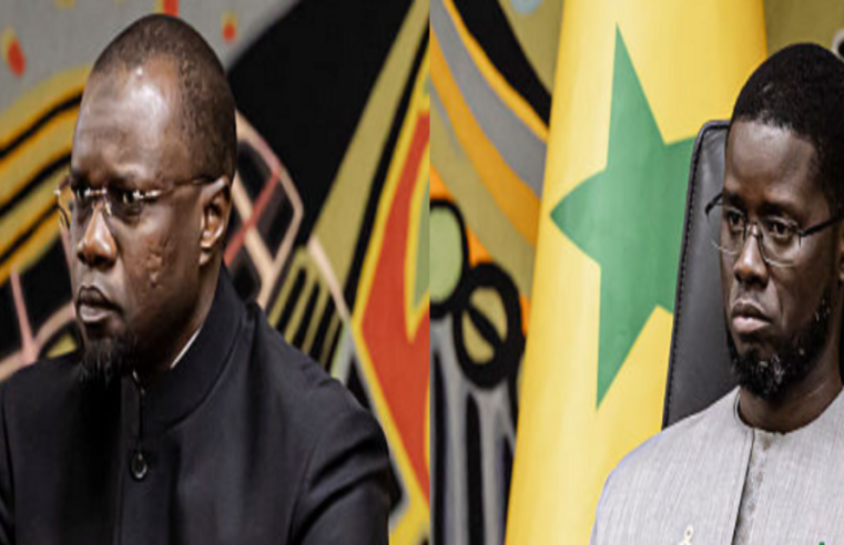 Sénégal : après la rupture sonko‑diomaye, l&rsquo;avenir politique à l&rsquo;épreuve