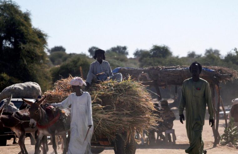 Crise à la frontière tchado-soudanaise : N&rsquo;Djamena verrouille ses accès face au conflit