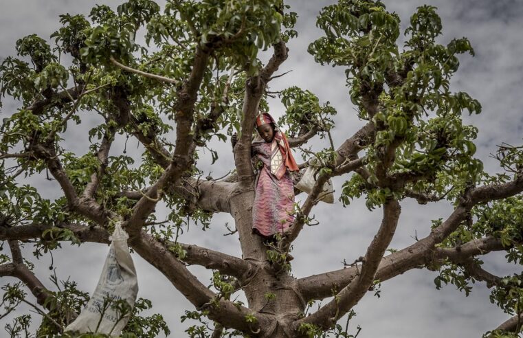 La détresse économique au Niger : un peuple face à l&rsquo;insécurité alimentaire
