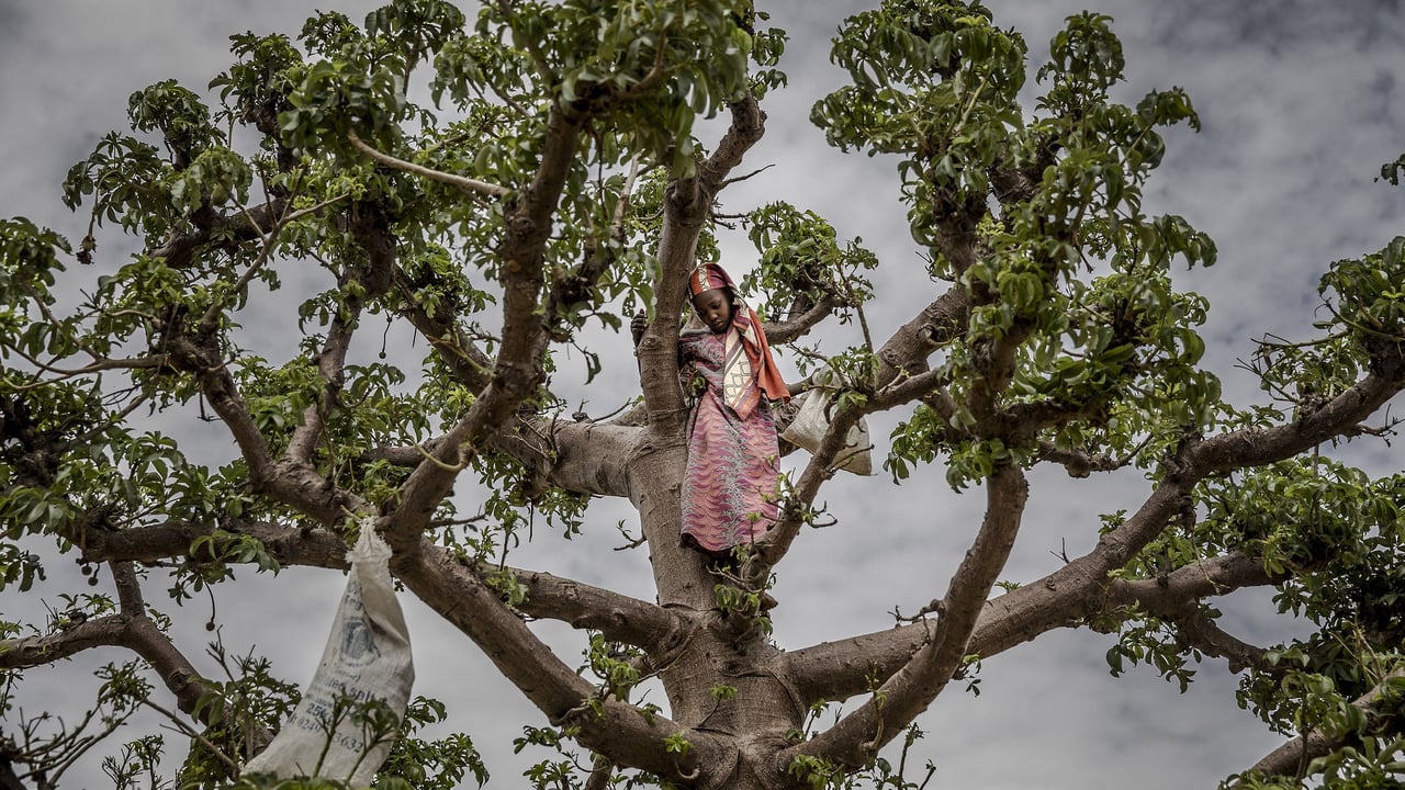 La détresse économique au Niger : un peuple face à l&rsquo;insécurité alimentaire