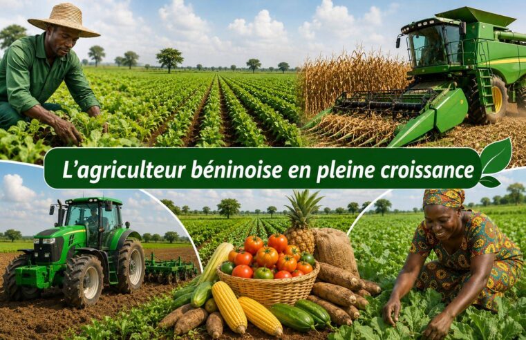 Réforme agricole Bénin : une révolution économique grâce à la modernisation du secteur