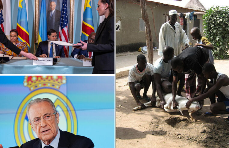 Crise du mouton en Côte d&rsquo;Ivoire avant la tabaski ?