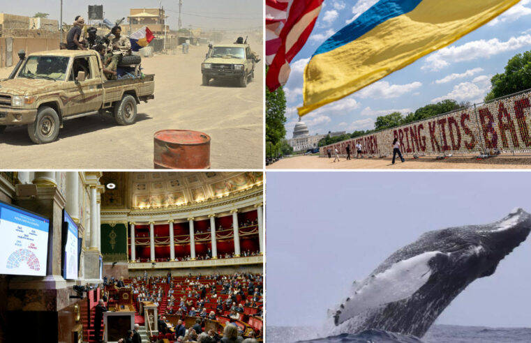 Alliance stratégique au Mali entre le Jnim et le Fla : analyses et perspectives