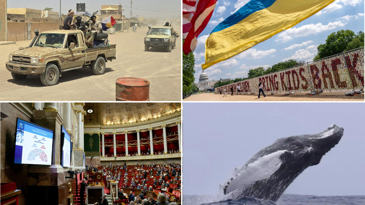 Alliance stratégique au Mali entre le Jnim et le Fla : analyses et perspectives