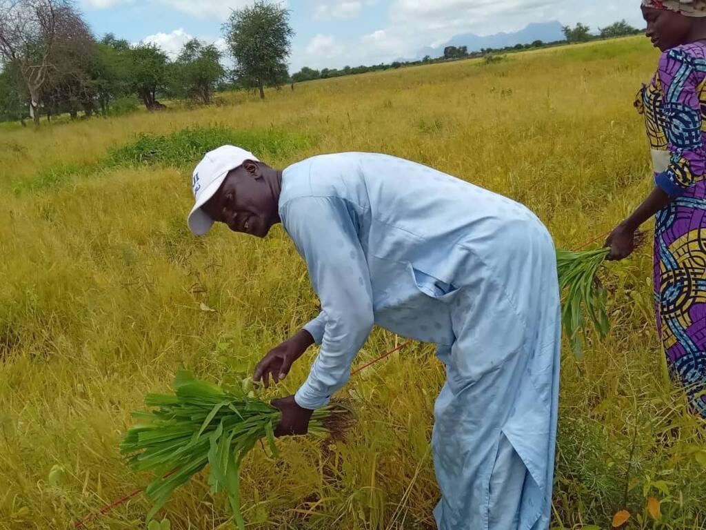 Younous Mahadjir, animateur communautaire, dans un champ école paysan au Tchad.