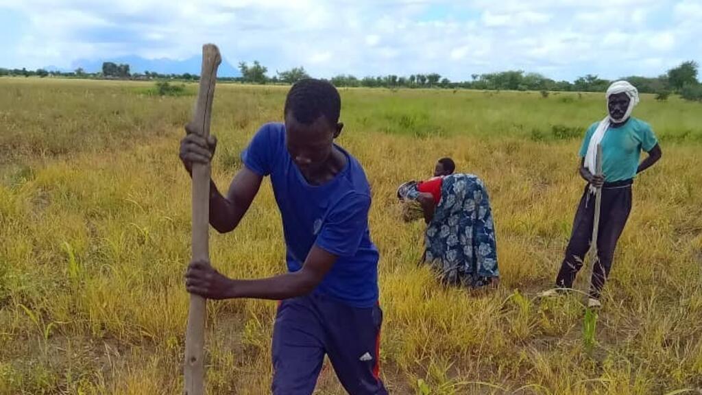 Un agriculteur du Guéra délimite sa parcelle lors d'une session de CEP.