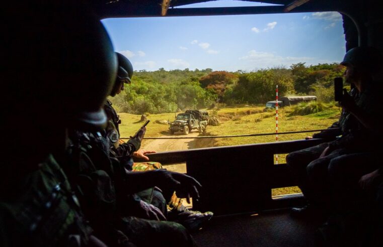Mali : Bamako interdit l&rsquo;accès à quarante forêts pour déloger les jihadistes
