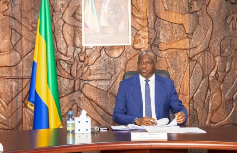 Gabon et union européenne : un dialogue stratégique pour l&rsquo;avenir