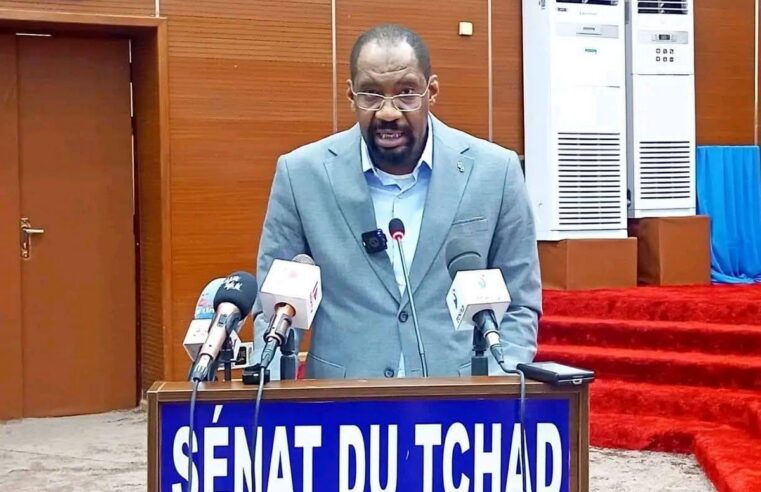 Tchad : mobilisation générale contre les violences intercommunautaires