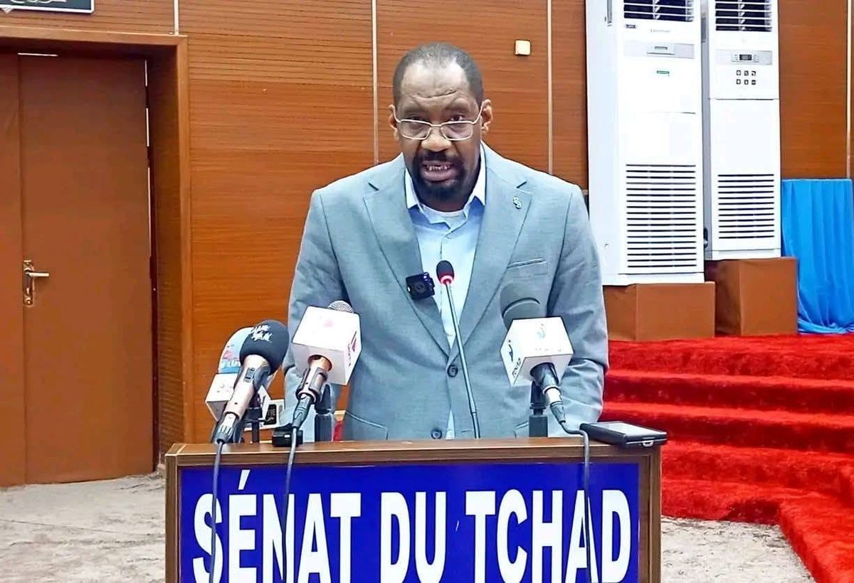 Tchad : mobilisation générale contre les violences intercommunautaires