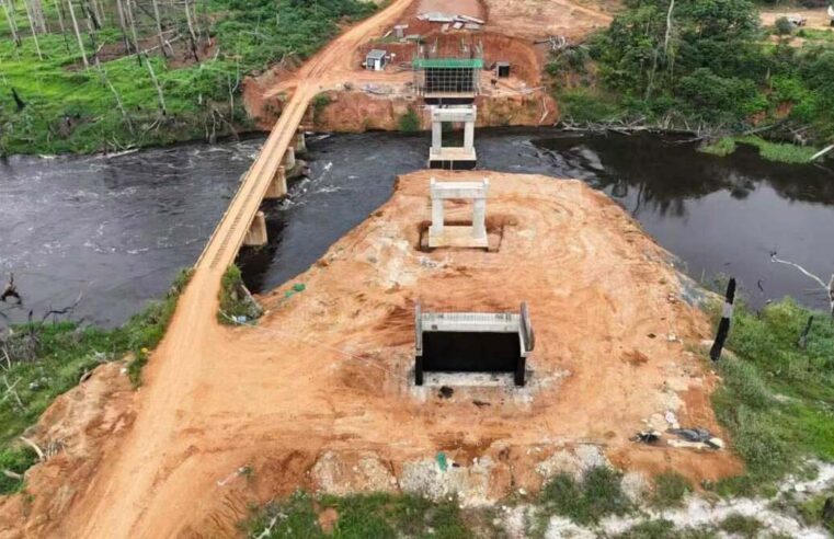 Pont sur le Dja : le chantier avance à grands pas pour désenclaver le Sud-Cameroun