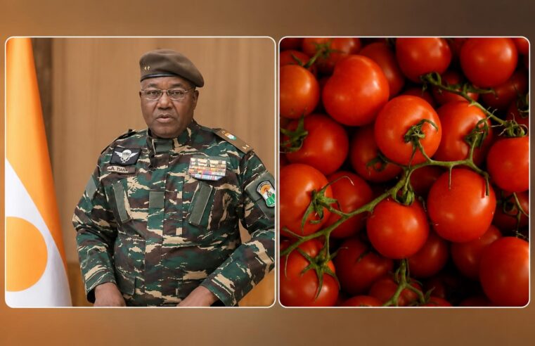Financement italien pour la tomate au Niger : une souveraineté en trompe-l&rsquo;œil