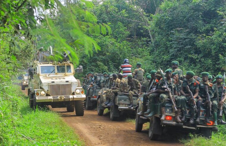 RDC : escalade de la violence des adf dans les provinces du nord-kivu et ituri