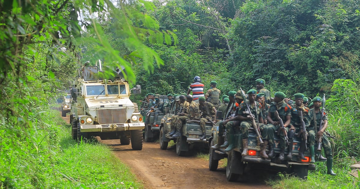 RDC : escalade de la violence des adf dans les provinces du nord-kivu et ituri