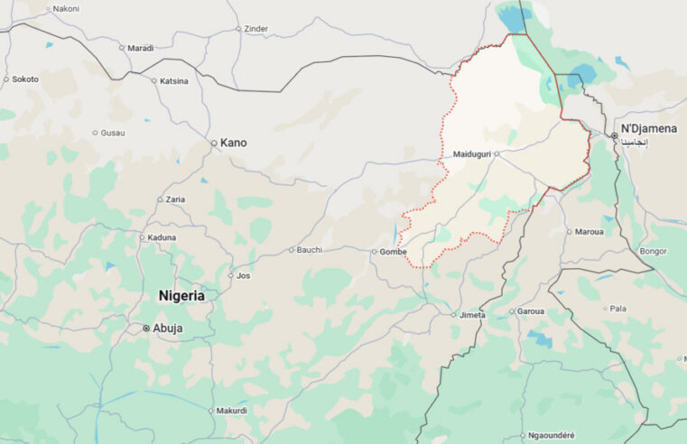 Nigeria : 416 otages de Boko Haram libérés dans l&rsquo;État de Borno