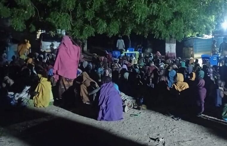 Nigéria : plus de 400 otages de Boko Haram libérés dans l&rsquo;État de Borno