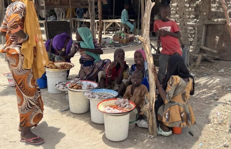 Boko Haram relâche plusieurs centaines de captifs au Nigeria