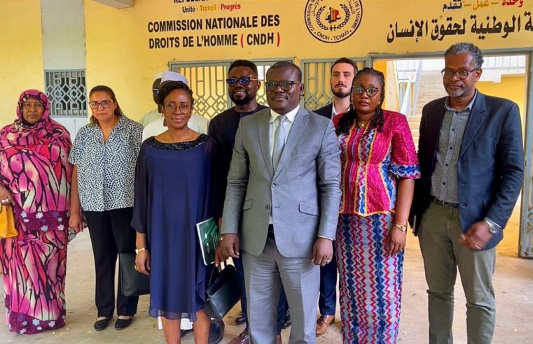 Union africaine et CNDH tchadienne renforcent la justice transitionnelle pour la paix