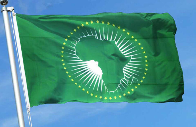 Le Maroc accroît son influence au sein de l&rsquo;Union africaine